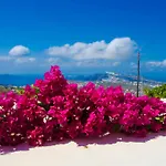 Villa Chrisanthi *
