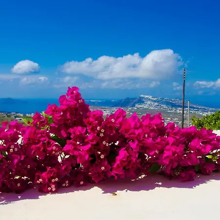 Villa Chrisanthi *